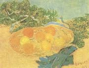 Vincent Van Gogh Still life:Oranges,Lomons and Blue Gloves (nn04) oil painting picture wholesale